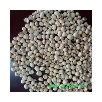 松贝母 选 松贝 川贝 产地 四川省 德誉堂药业批发各种中药材