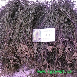 半枝莲 精品 产地 四川省成都市双流县