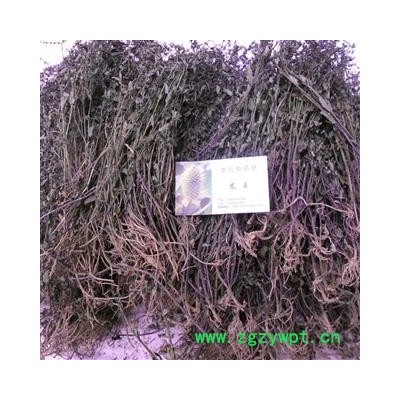 半枝莲 精品 产地 四川省成都市双流县