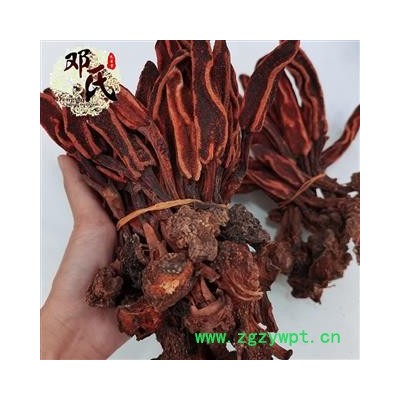 草苁蓉 云南顶天柱 不老草回春草大条 产地 云南省产地直发