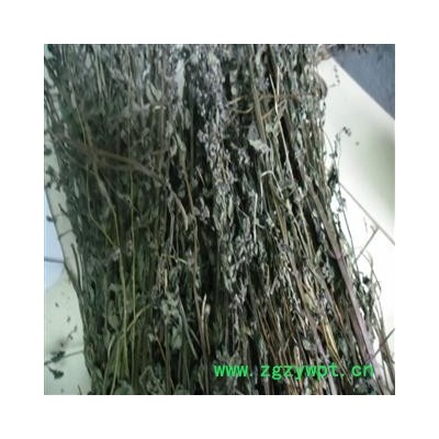 半枝莲 青色选货 产地 四川省成都市双流县 库存 500千克可售