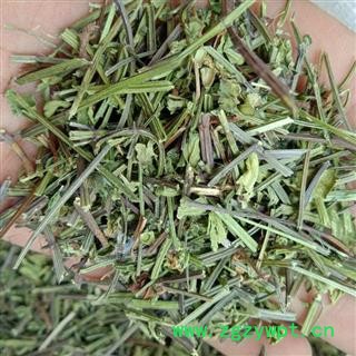 半枝莲 优质 产地 河南省许昌市禹州市