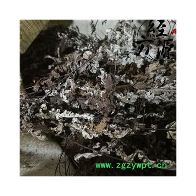 通经草C 金丝草 铁骨草 还阳草 还阳参