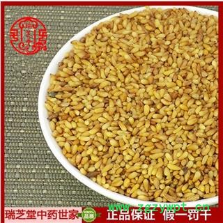 柏子仁精选货 瑞芝堂中药行 品质齐全1000克