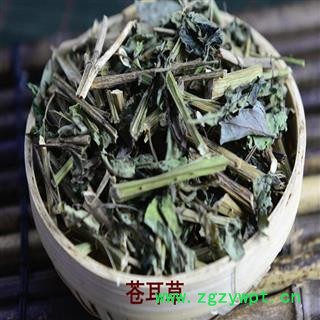 煜庭药业 苍耳草