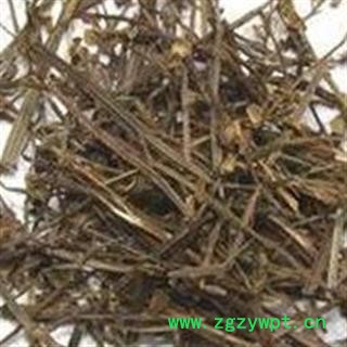 京辉药业 半枝莲 优质 正品 促销