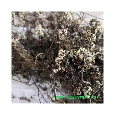 诺源药材行中药材半枝莲   通经草 铜丝草