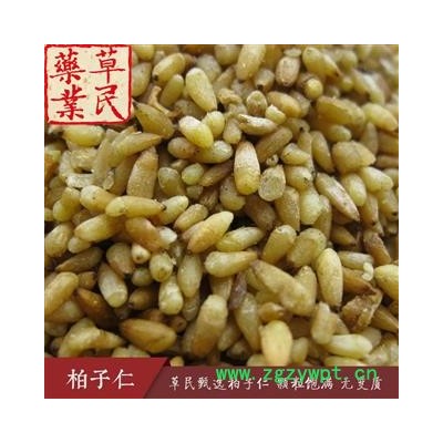 草民甄选柏子仁 脱壳率98%以上 颗粒饱满无变质 专业批发量大从优