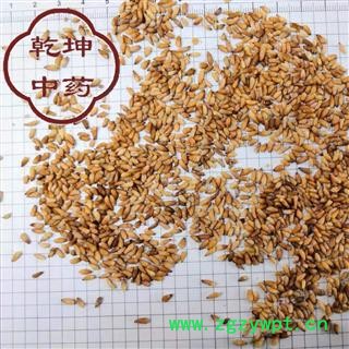柏子仁 净货  精选 产地 山东省【品种齐全 诚信经营】