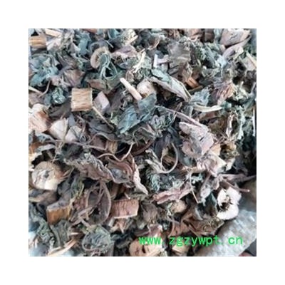 安祁名药正品苍耳草  卷毛子