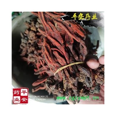 回春草 野0.5kg价格 草苁蓉 顶天柱 不老草 回春草 壮阳草 不老根 文王一支笔