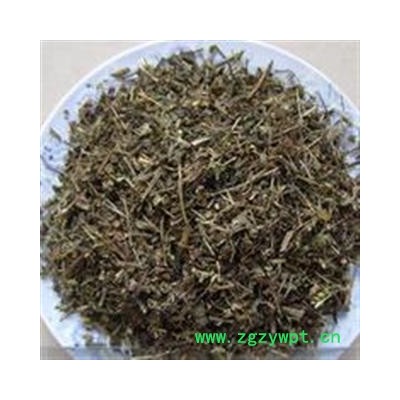 圣草康园半枝莲 并头草、狭叶韩信草、赶山鞭、牙刷草  促销