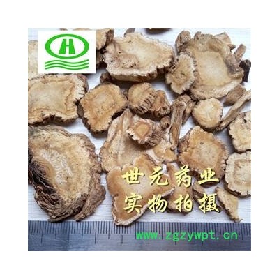 世元药业 白芷 正品祁白芷 选择健康选择原色 过筛0.6-2.0cm河北
