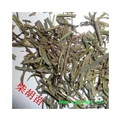 德誉堂药业 柴胡苗 选 产地 甘肃省 批发各种中药材