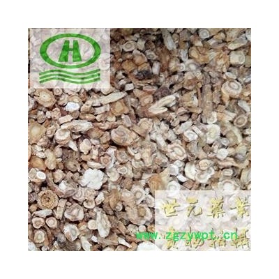 世元药业 北沙参 家种 经济实惠适合药批专供 中药材