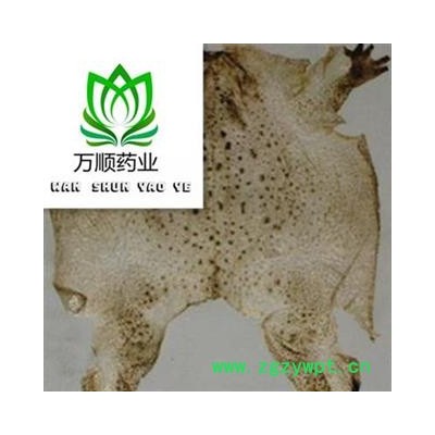 整支蟾皮 蟾衣 质量好 价格低 产地直销  产地 山东省