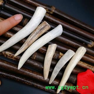 鹿角 干鹿角尖 可以磨粉 纯养殖梅花鹿鹿角尖有