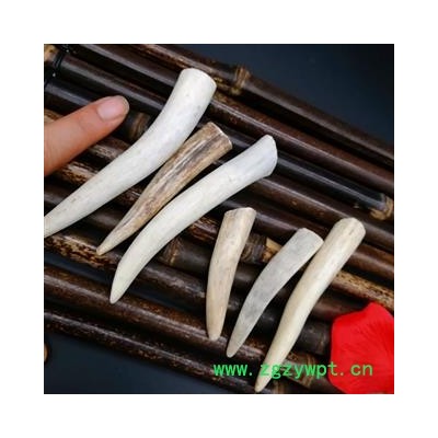 鹿角 干鹿角尖 可以磨粉 纯养殖梅花鹿鹿角尖有