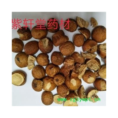 川楝子精品选装  新货   产地直销