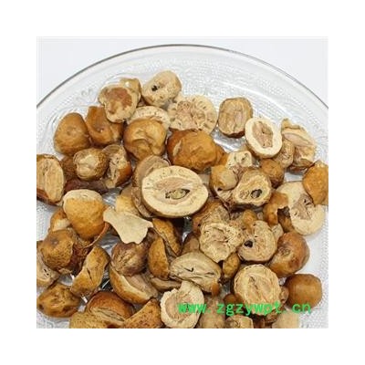 【录建药业】川楝子 统 产地 四川省