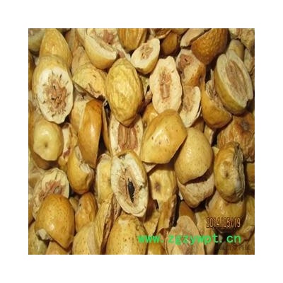 川楝子 统 川楝子  产地 四川省  德誉堂药业批发各种中药材