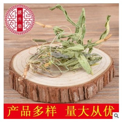 中药材批发 产地大货紫花地丁 整颗新货纯净干货药食同源品质好