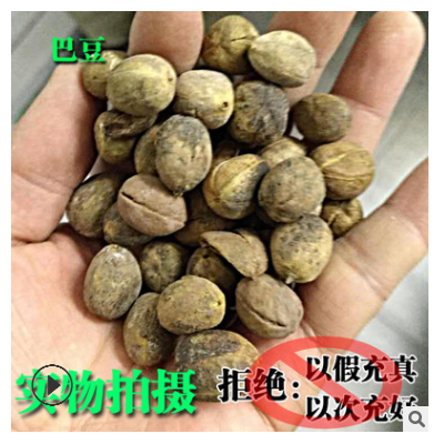 中药材批发 带壳巴dou 豆 巴ba豆dou 灰巴 豆豆 ba dou badou