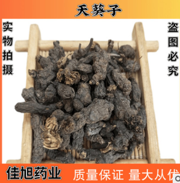 散装批发中药材天葵子 紫背天葵子量大从优