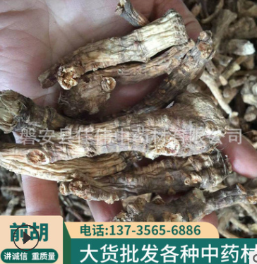 浙江磐安批发前胡 中药材批发现货 散装道地 大货供应 量大从优