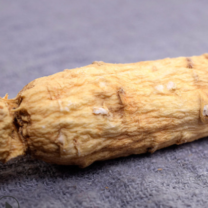 生晒参 中药材批发各种规格人参个白参个对外批发零售