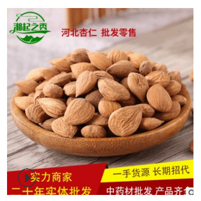 中药材杏仁苦杏仁 手工挑选散装批发 产地河北杏仁 新货 湘起之秀