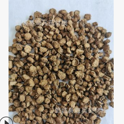 黄金牛蒡茶圆片过0.6筛大小均匀干净牛蒡片产地