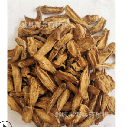 黄金牛蒡茶中选片产地大货直供过筛干净实物拍摄