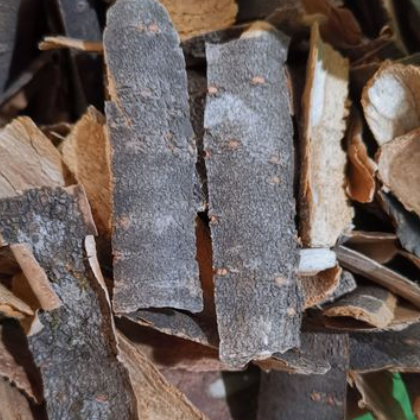 中药材 暴马子皮 丁香树皮 量大从优