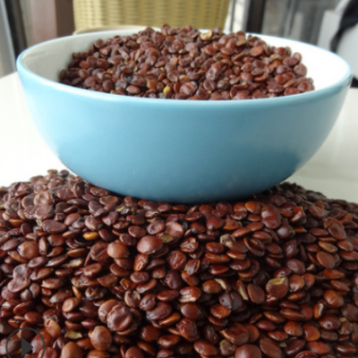 现货供应酸枣仁 产地直营货源中药材酸枣仁 枣仁酸枣仁