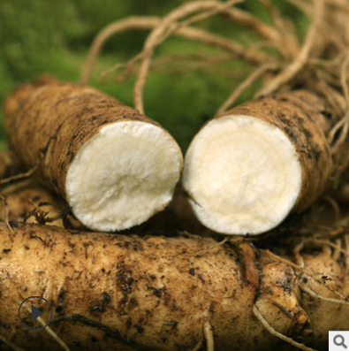 批发定制东北人参 长白山高档山参礼盒 吉林林下山参会销礼品