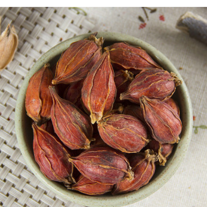 中药材 栀子 量大从优 产地货源 产地货源 承接订单 支持药检