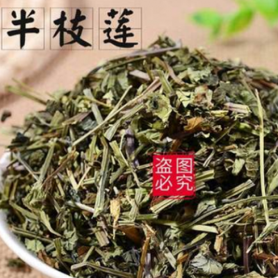 中药材半枝莲批发 并头草韩信草赶山鞭牙刷草