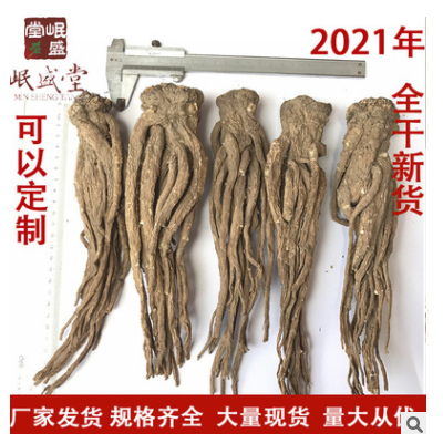 源产地批发岷县全当归 甘肃特产 源产地直销