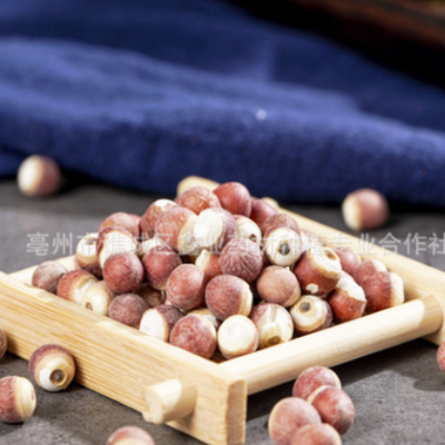 芡实 中药材批发芡实 各种规格农产品加工量大从优代打粉 芡实