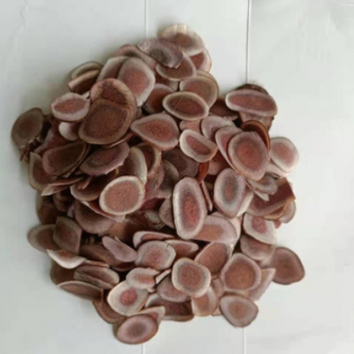 规格多样质优材质 鹿角片 品质保障支持定制 价格实惠量大从优