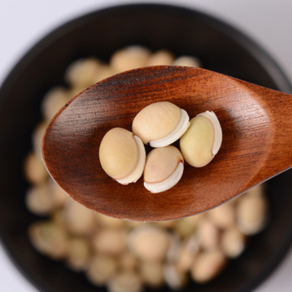 低温烘焙熟白扁豆 农家自产五谷杂粮低温烘焙磨粉原料生白扁豆