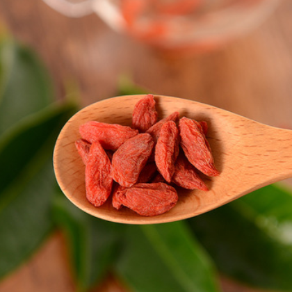 宁夏枸杞袋装500g 药膳煲汤材料泡茶散装小粒枸杞批发