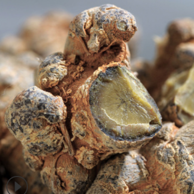 三七批发云南文山田七粉三七花20头产地直销皂苷三七片可磨粉500g