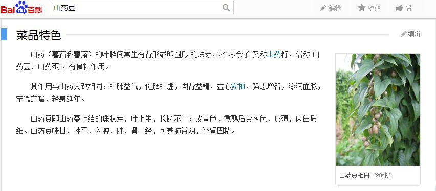 豆百度