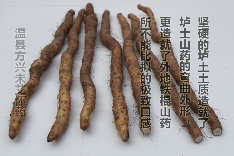 加山药