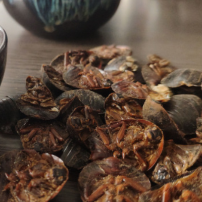 源宇堂 土元 500g1000g批发 中药材土元 安徽亳州