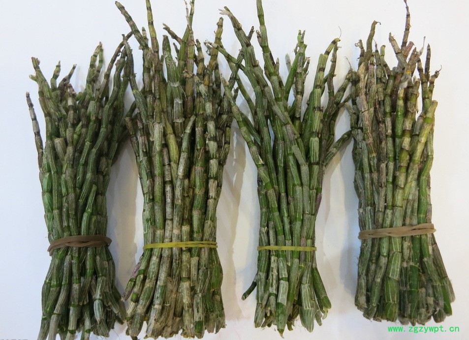 QQ截图20170216155058