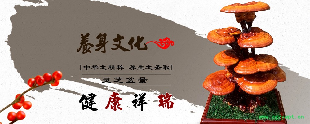 QQ图片20171024090544_副本