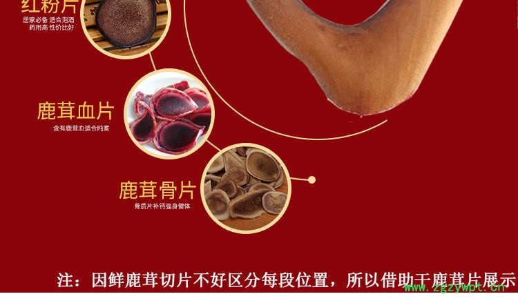正宗鹿茸一件灵芝人参鹿茸泡酒